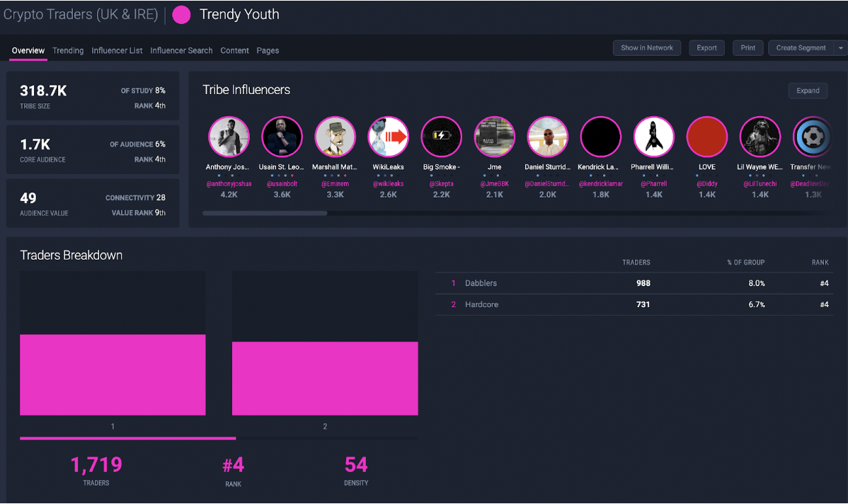 Figure 2: Trendy Youth made up 8% of the entire ‘Crypto Dabblers’ audience